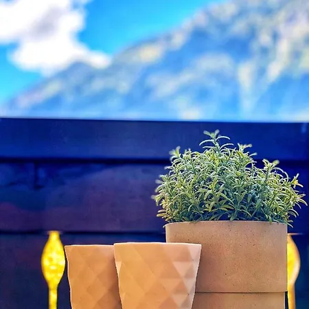 Rocky Sud Apartament