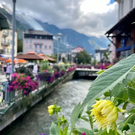 Rocky Sud Apartament *