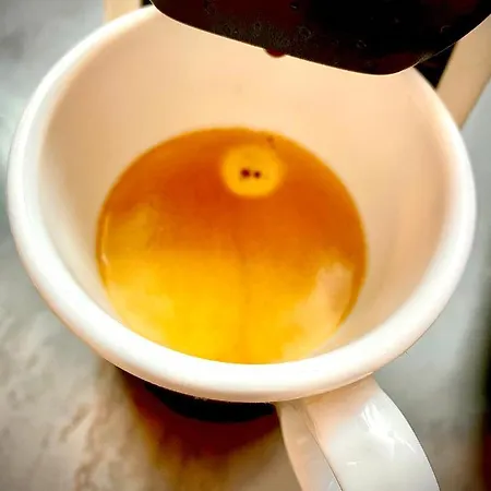 Apartamento Rocky Sud