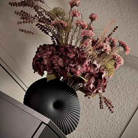 Rocky Sud * Chamonix Mont Blanc