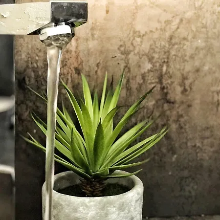 Rocky Sud * Chamonix Mont Blanc